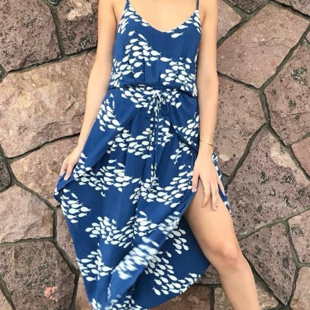 NWOT Rare Ava Sky Jumper Clara in Signature Fish Print – XS